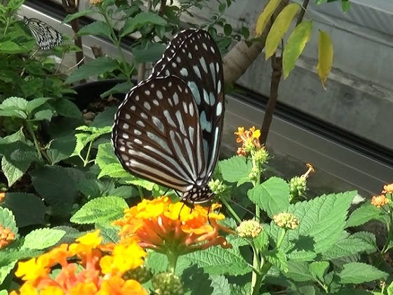 �`���E�`��