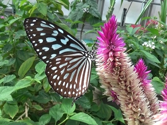 �`���E�`��