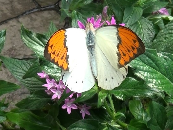 �`���E�`��