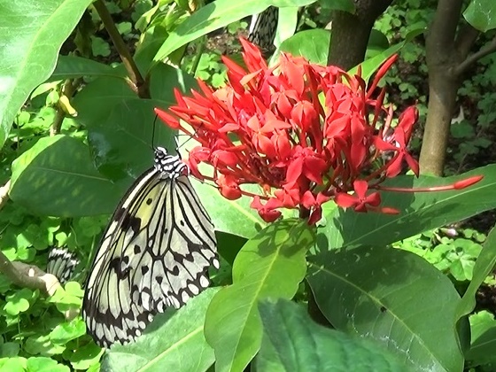 �`���E�`��