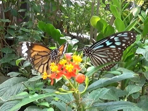 �`���E�`��