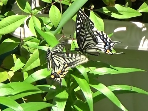 �`���E�`��