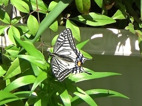 �`���E�`��