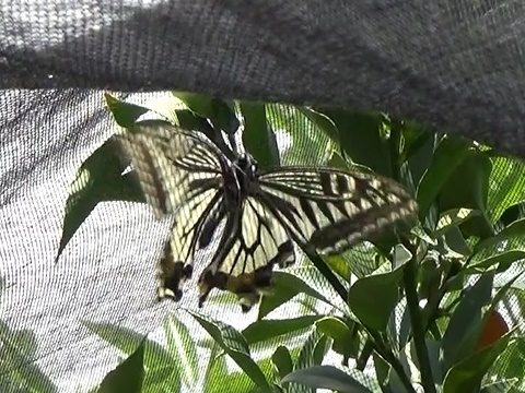 �`���E�`��