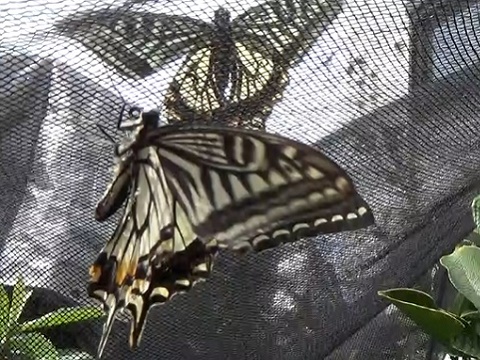 �`���E�`��