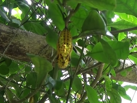 �`���E�`��