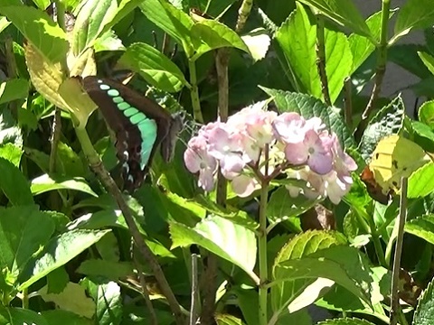 �`���E�`��