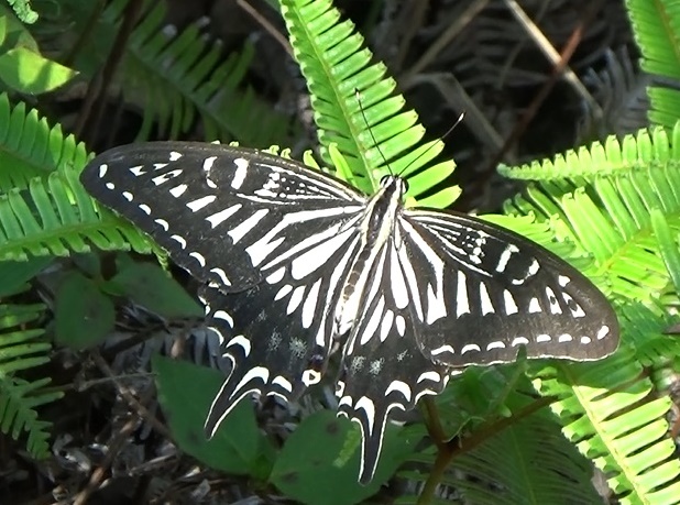 �`���E�`��