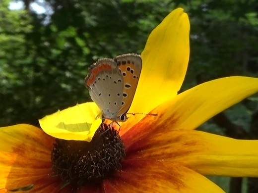 �`���E�`��