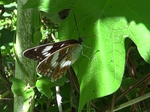 �`���E�`��