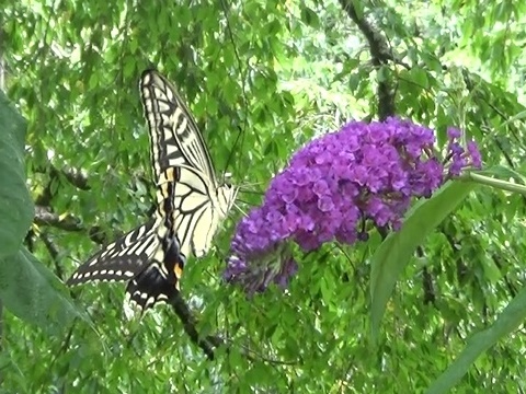 �`���E�`��