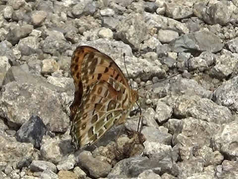 �`���E�`��