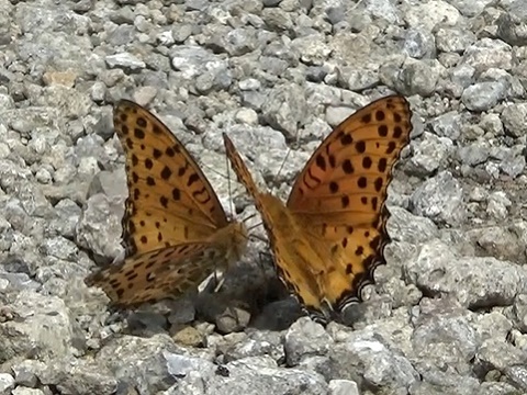 �`���E�`��