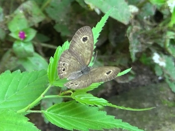 �`���E�`��