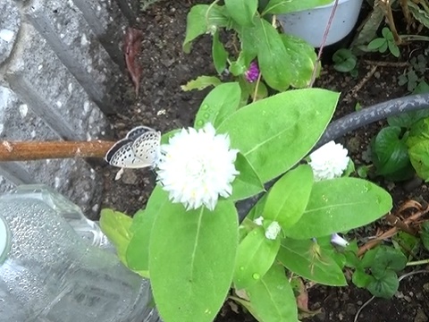 �`���E�`��