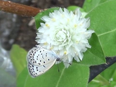 �`���E�`��