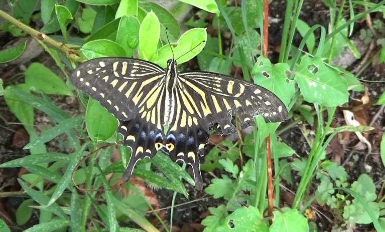 �`���E�`��