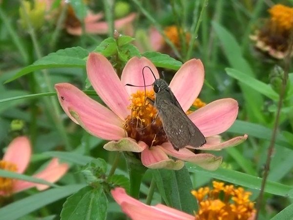 �`���E�`��