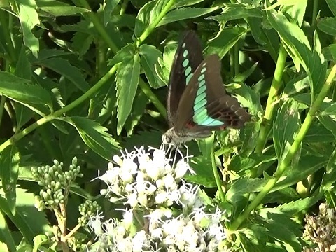 �`���E�`��