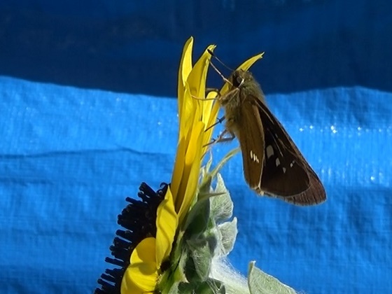 �`���E�`��