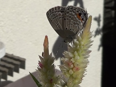 �`���E�`��